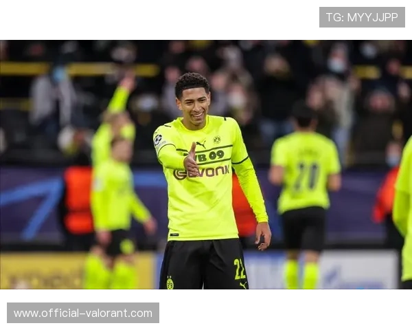 暴风雪“埃莉”袭击德国北部，两场德甲比赛延期